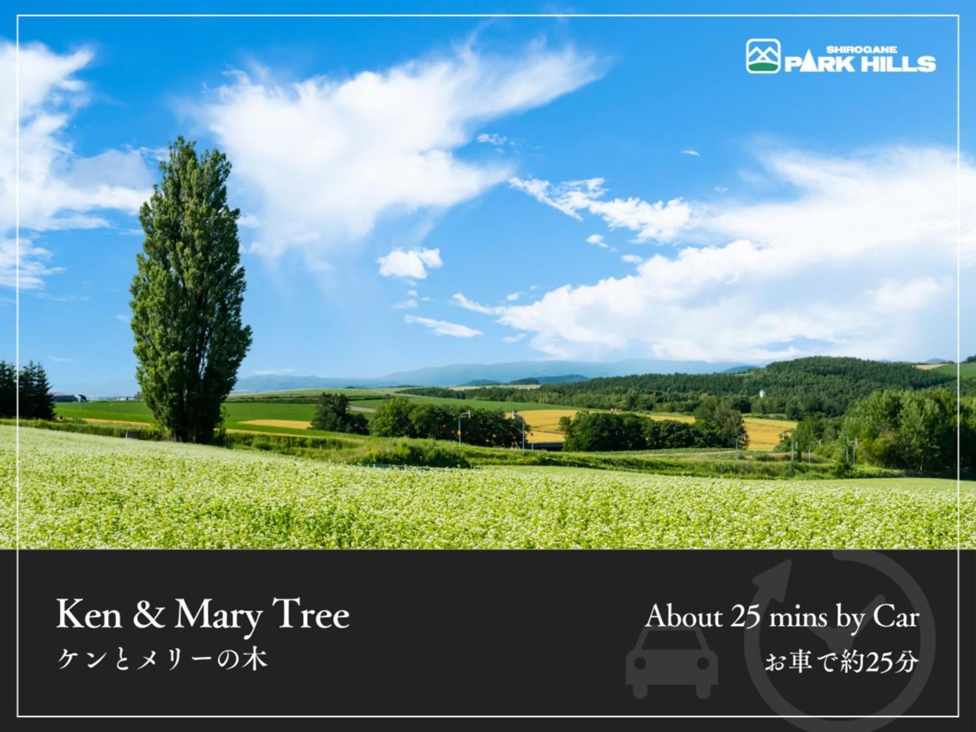 Biei Shirogane Onsen Hotel Park Hills Экстерьер фото